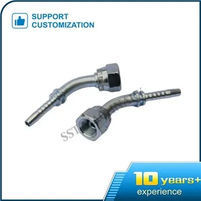 Conexión de manguera BSP